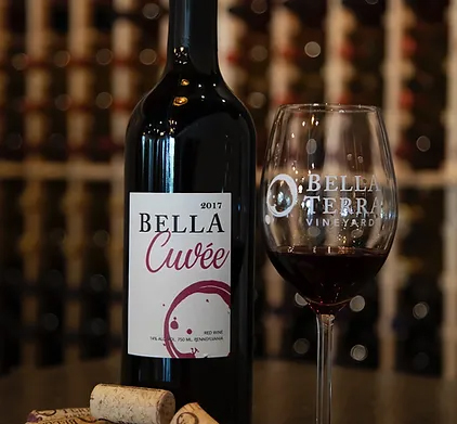 Bella Terra Vineyards