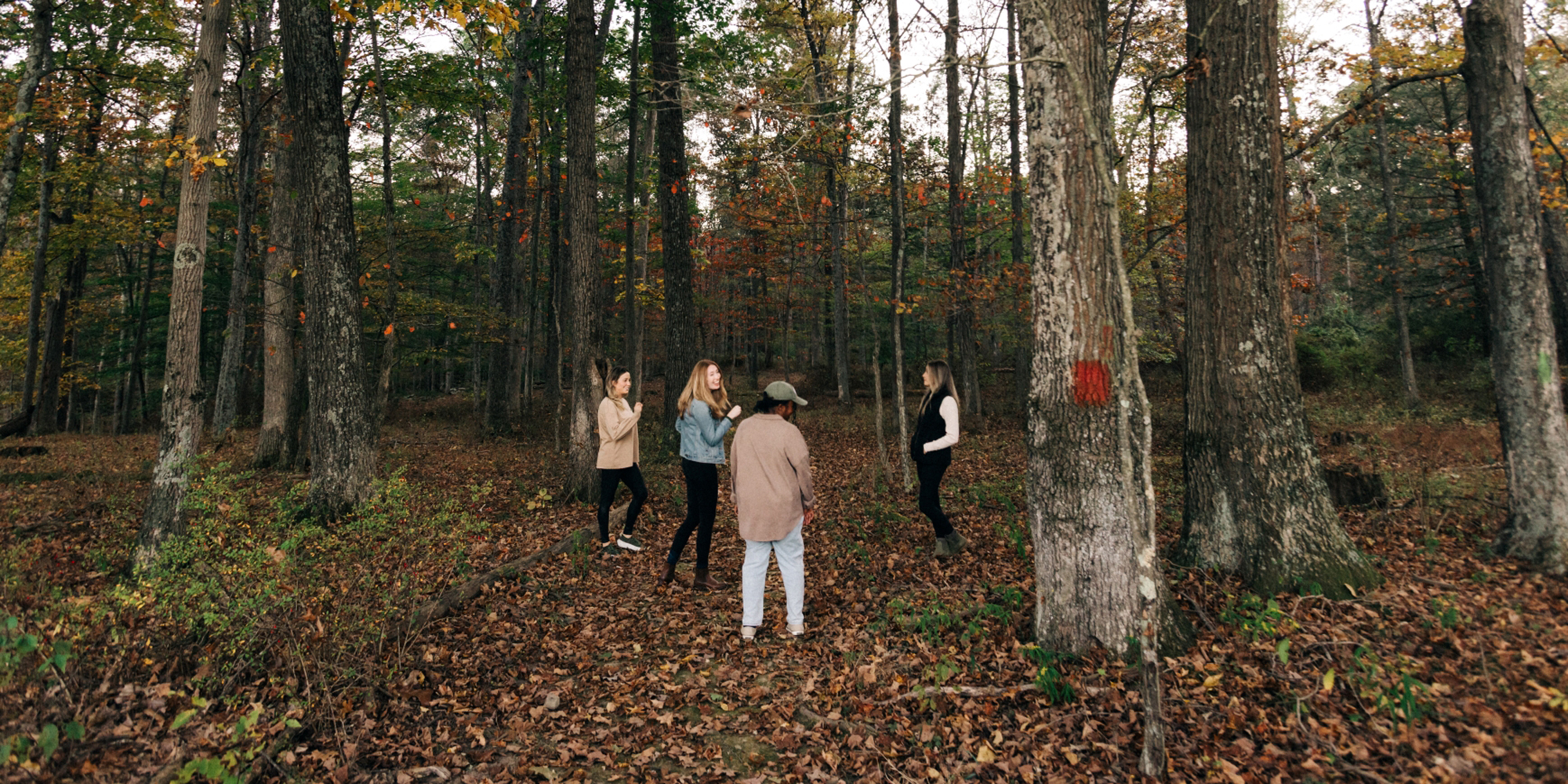 Mid State Trail Bedford County PA
